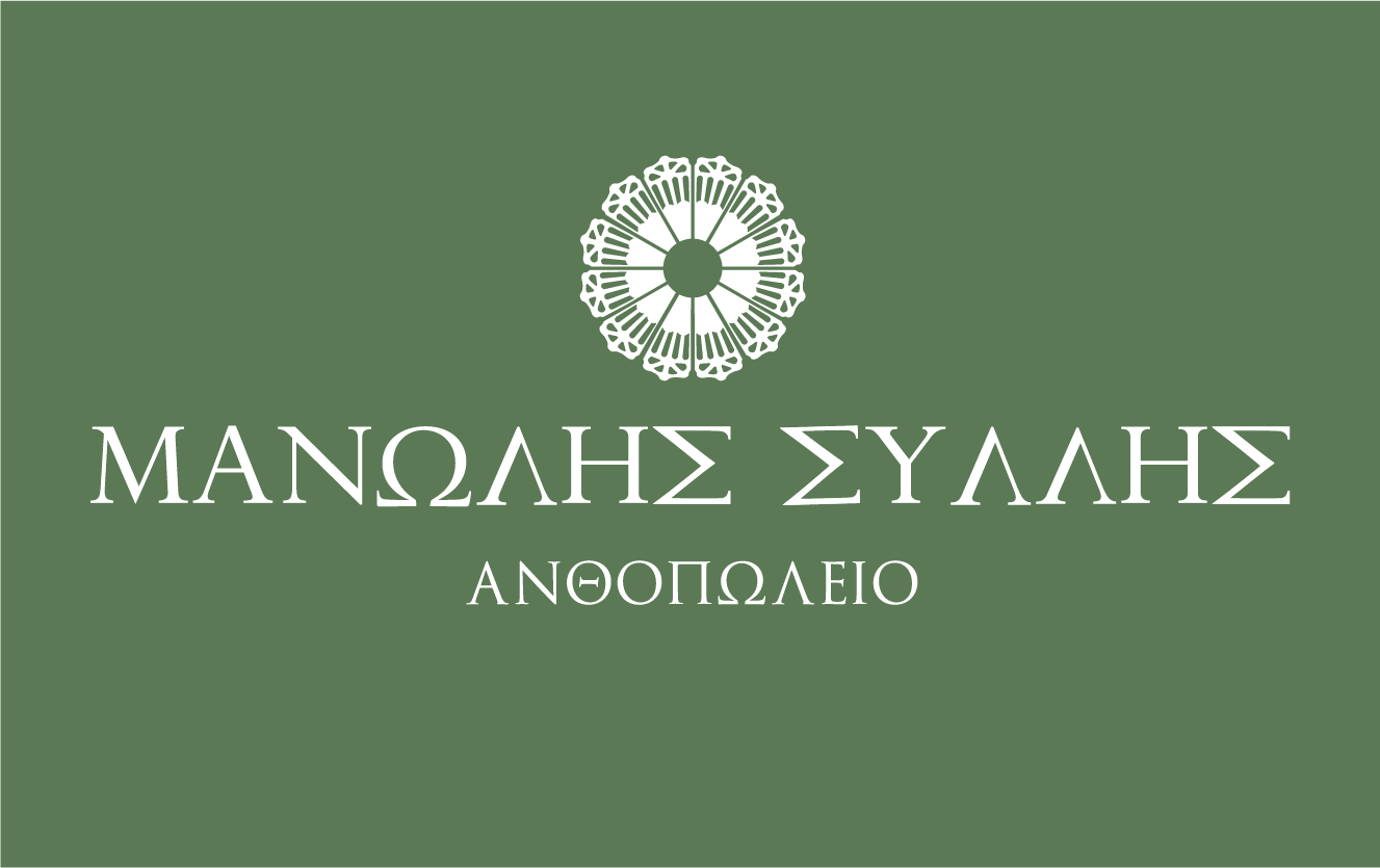 project SillisFlower